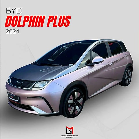 Foto de um byd dolphin plus.