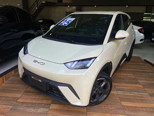 Foto de um byd dolphin 2025 pronta entrega modelo gs ev.