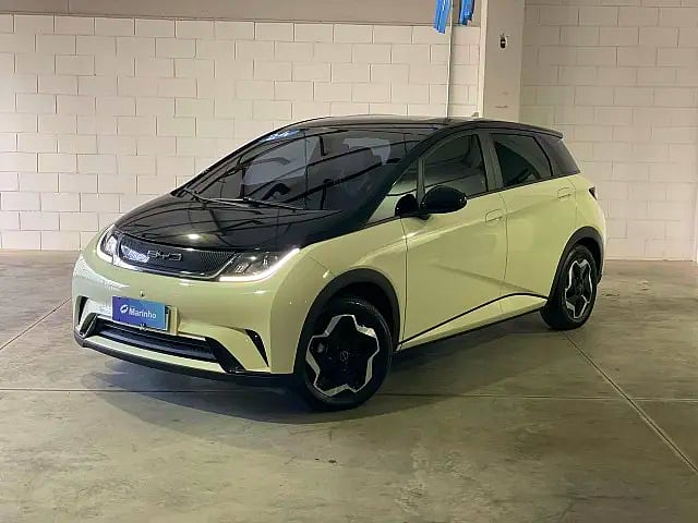 Foto de um byd dolphin ?   ev elétrico  ? ano 2024.