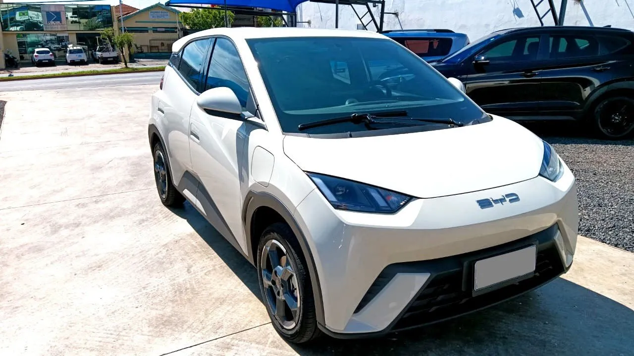 BYD Dolphin