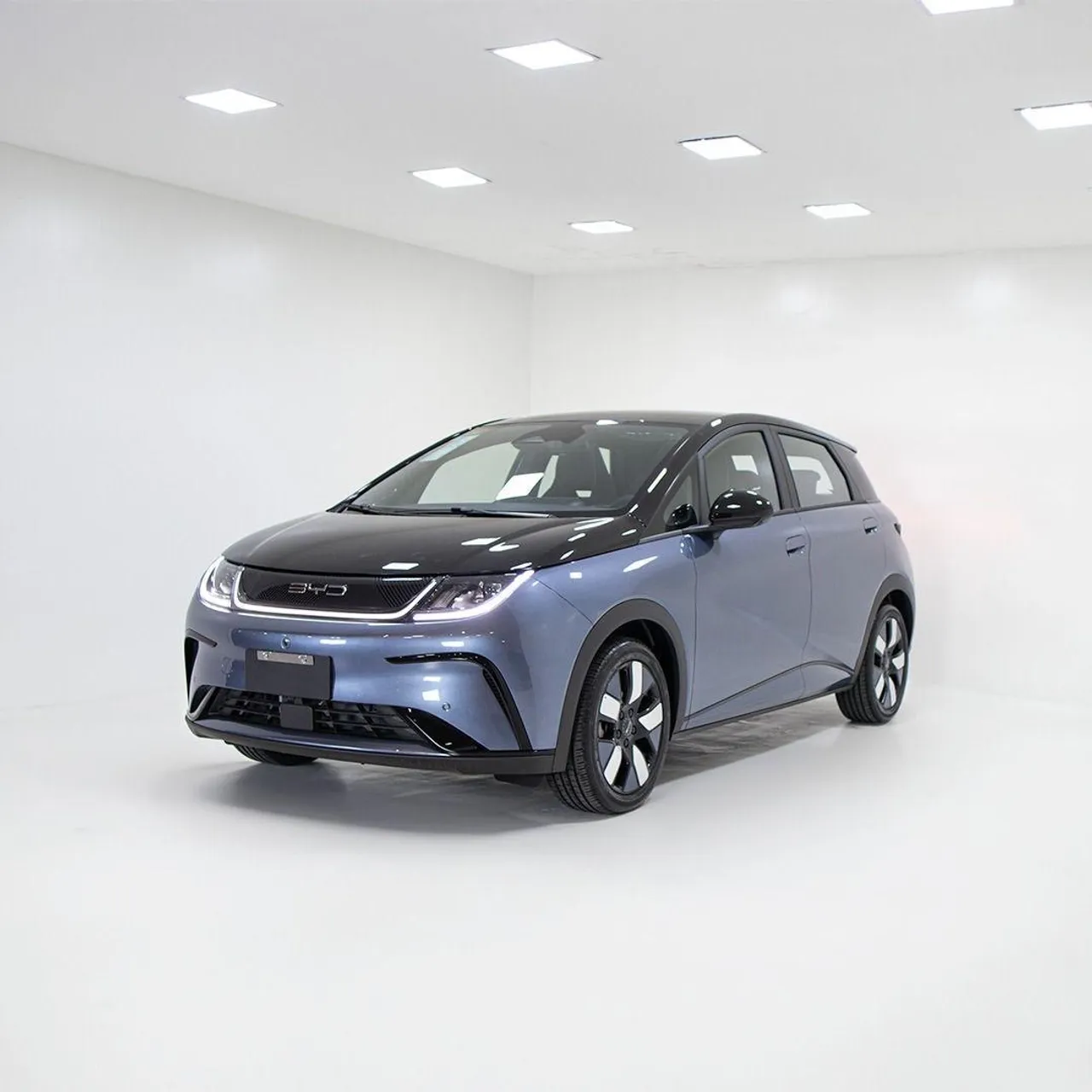 BYD Dolphin Plus