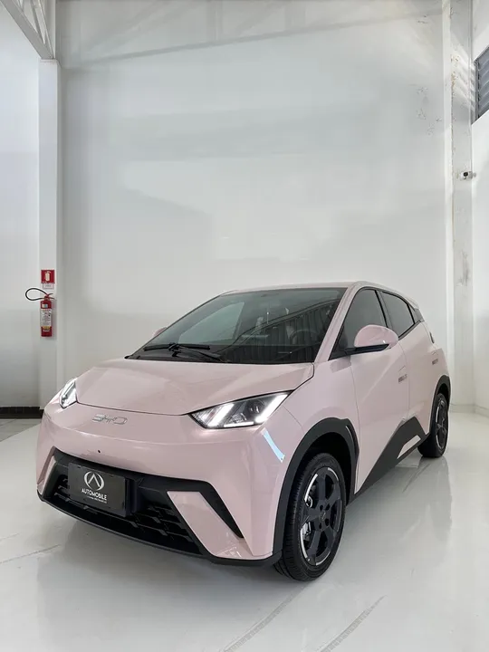 BYD Dolphin