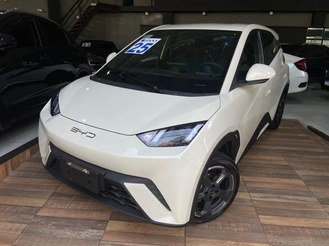 BYD Dolphin