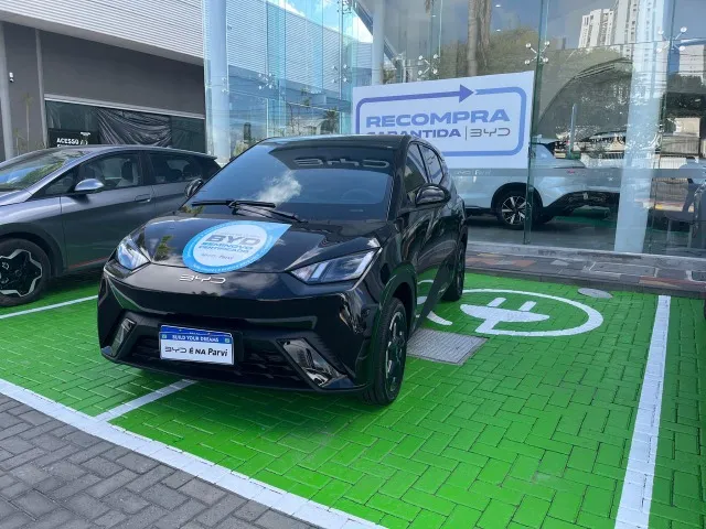 BYD Dolphin