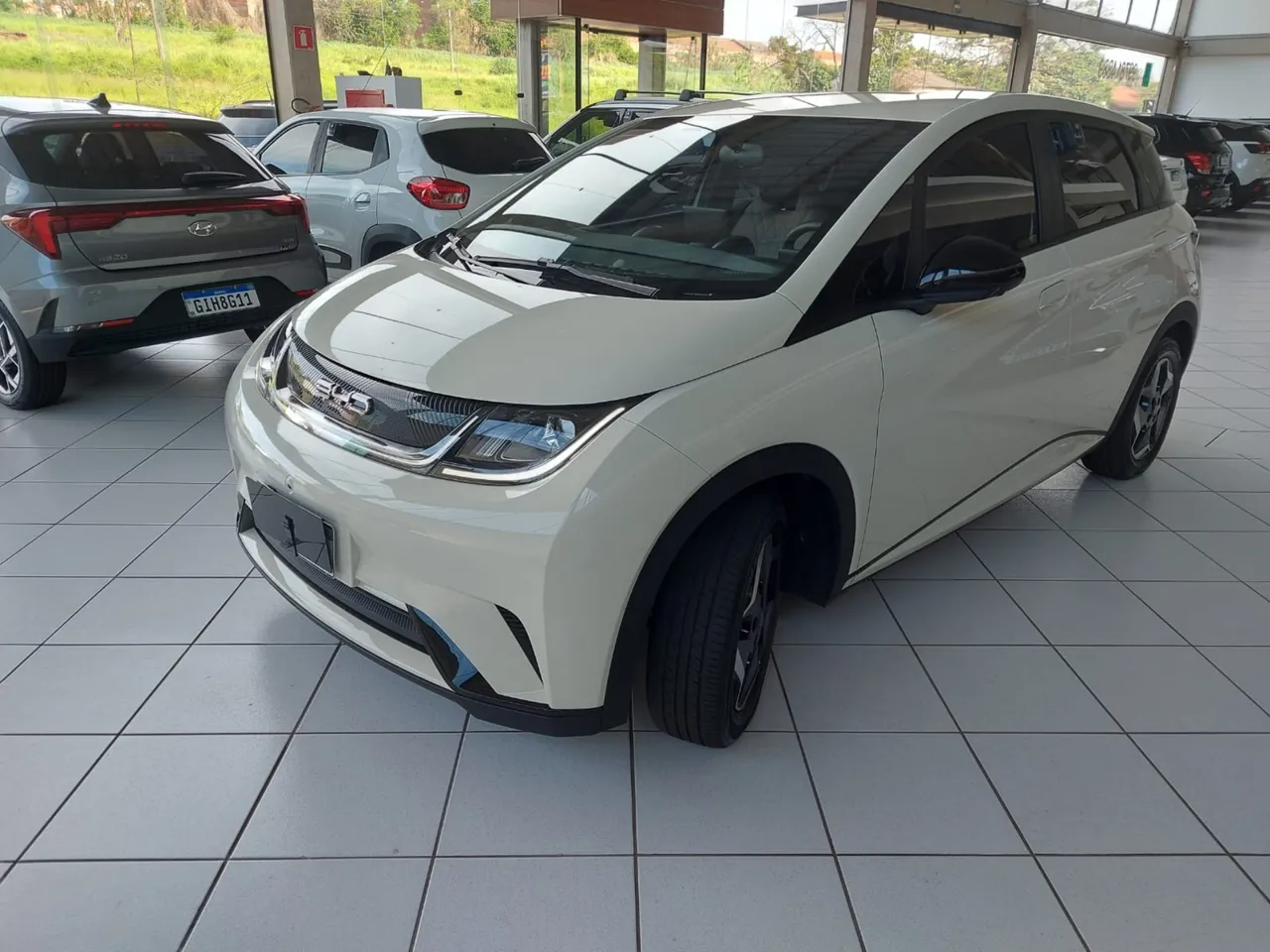 BYD Dolphin
