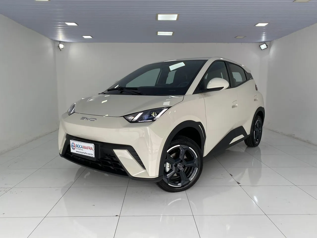 BYD Dolphin Mini