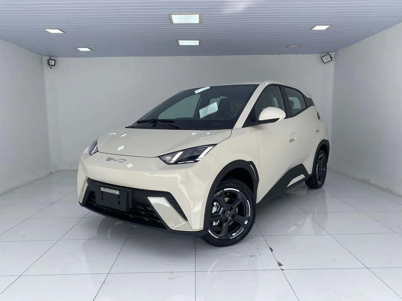 BYD Dolphin Mini