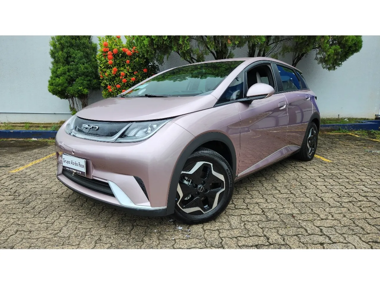 BYD Dolphin