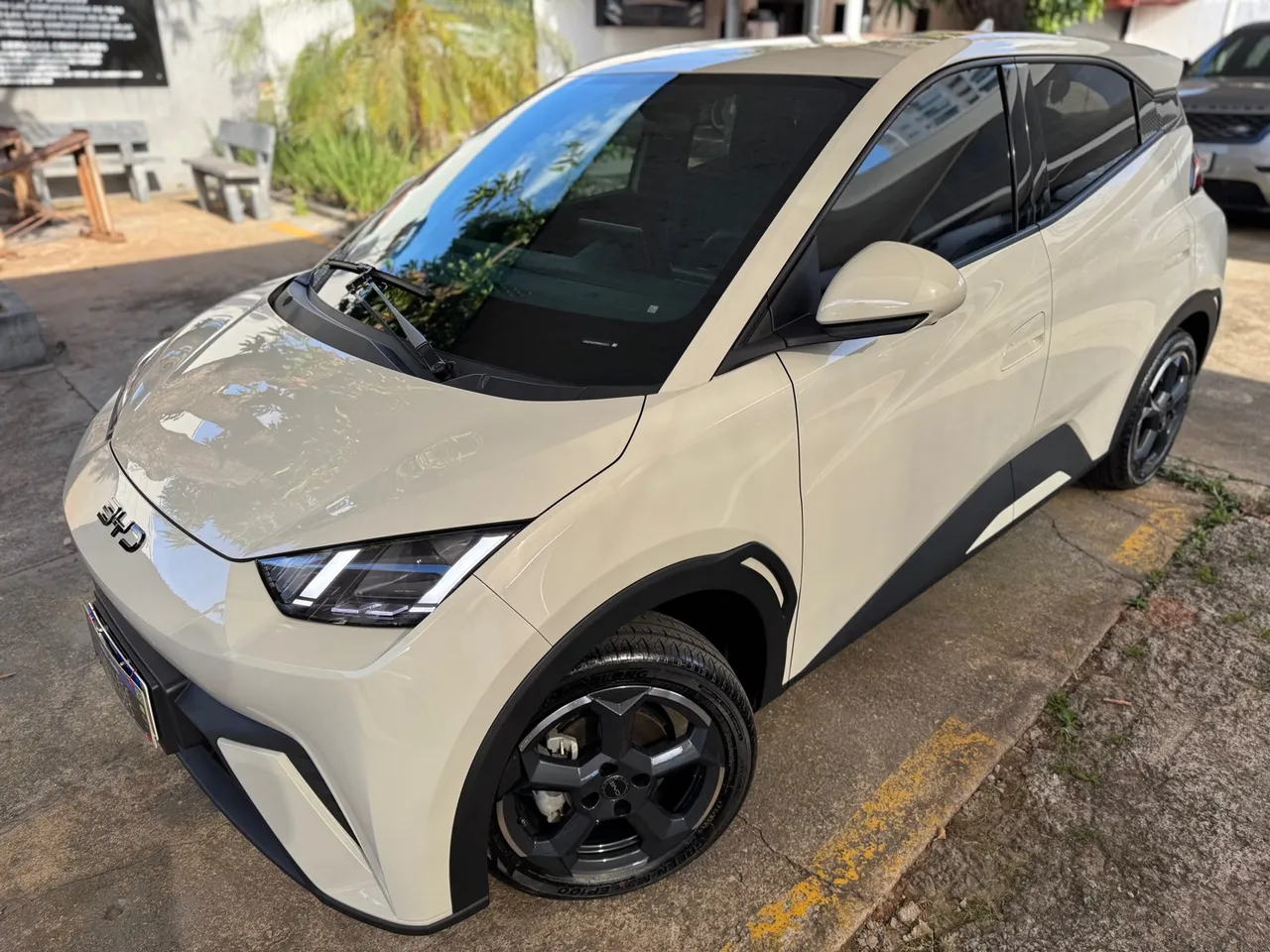 BYD Dolphin Mini