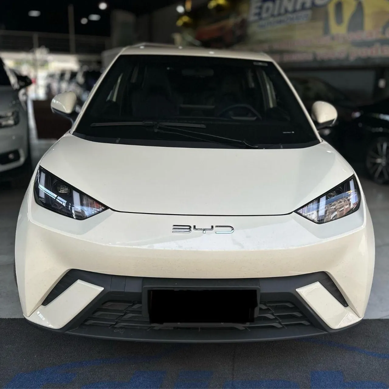 BYD Dolphin