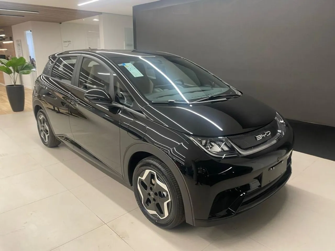 BYD Dolphin