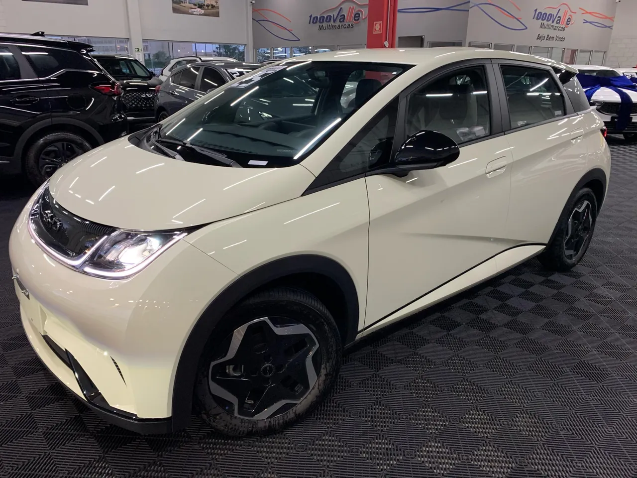 BYD Dolphin