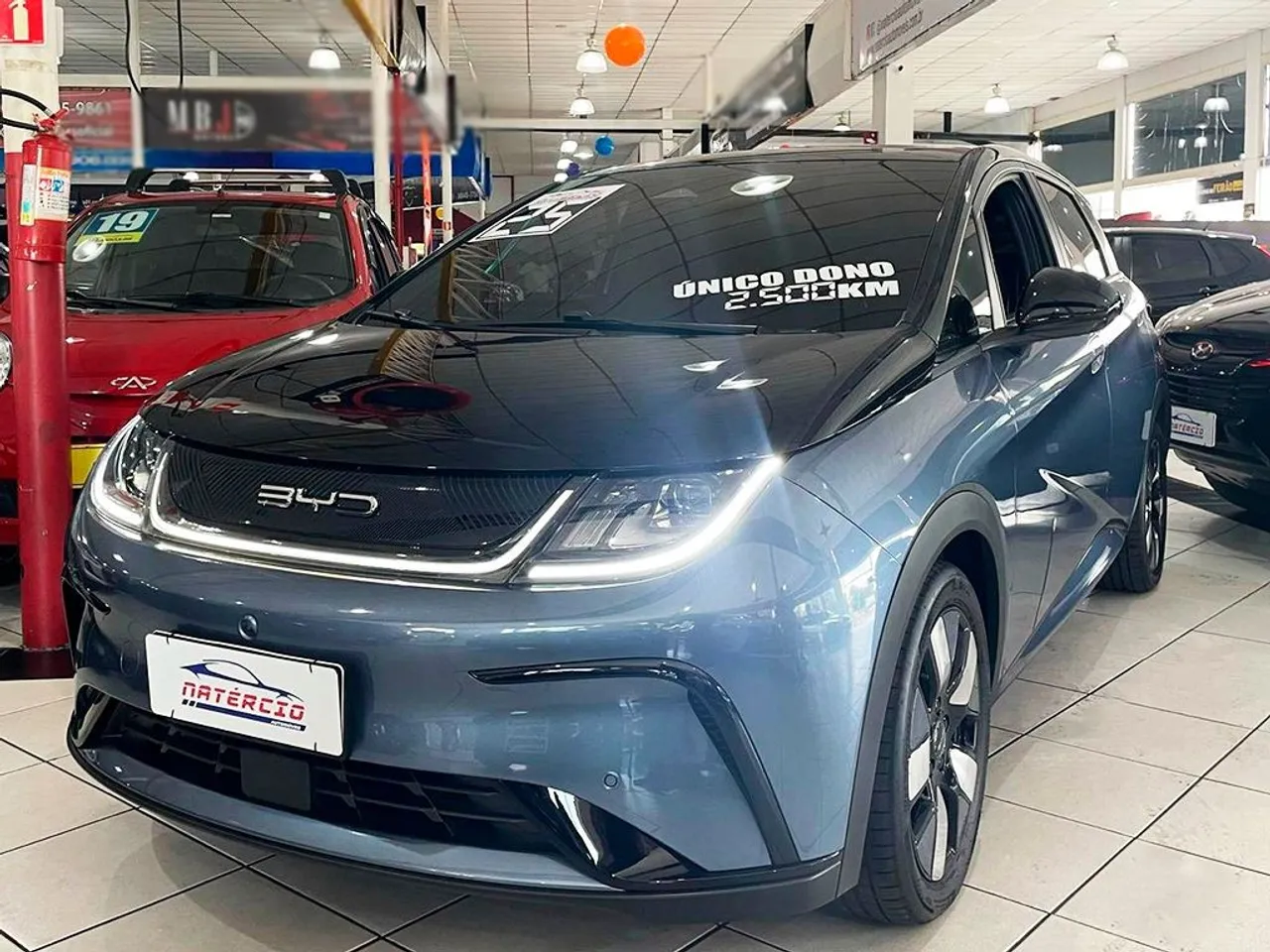 BYD Dolphin
