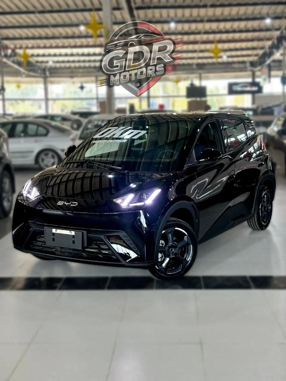 BYD Dolphin Mini