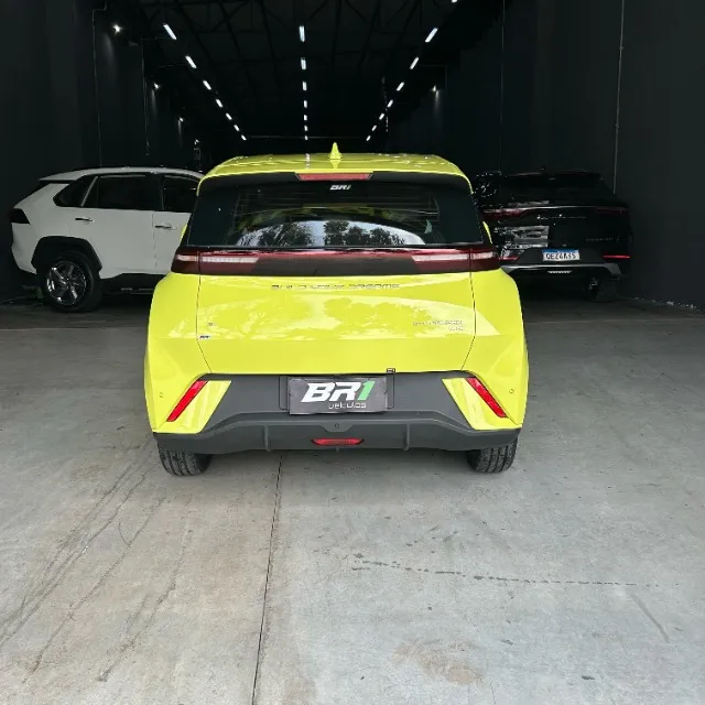 BYD Dolphin Mini