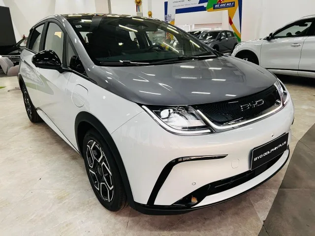 BYD Dolphin Plus