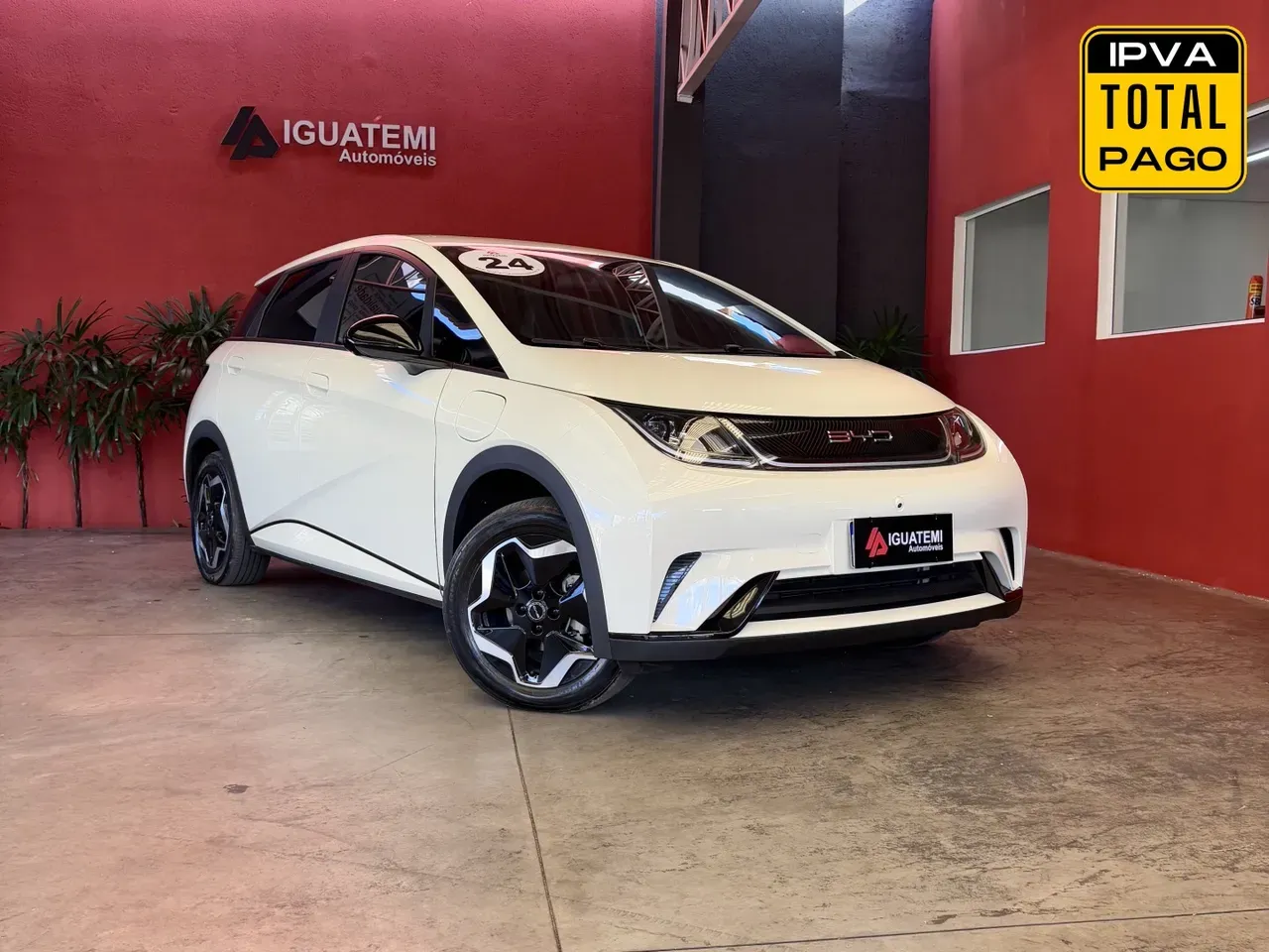 BYD Dolphin