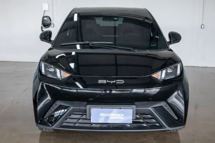 BYD Dolphin Mini