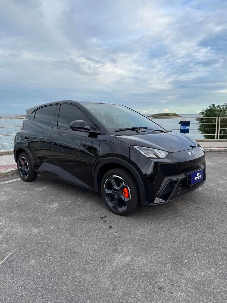 BYD Dolphin Mini