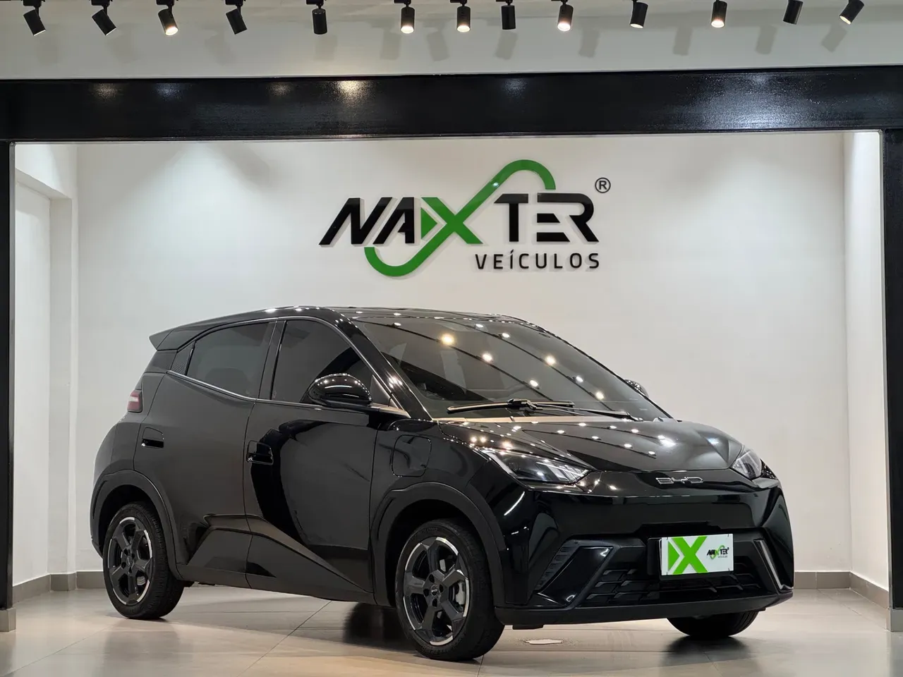 BYD Dolphin Mini