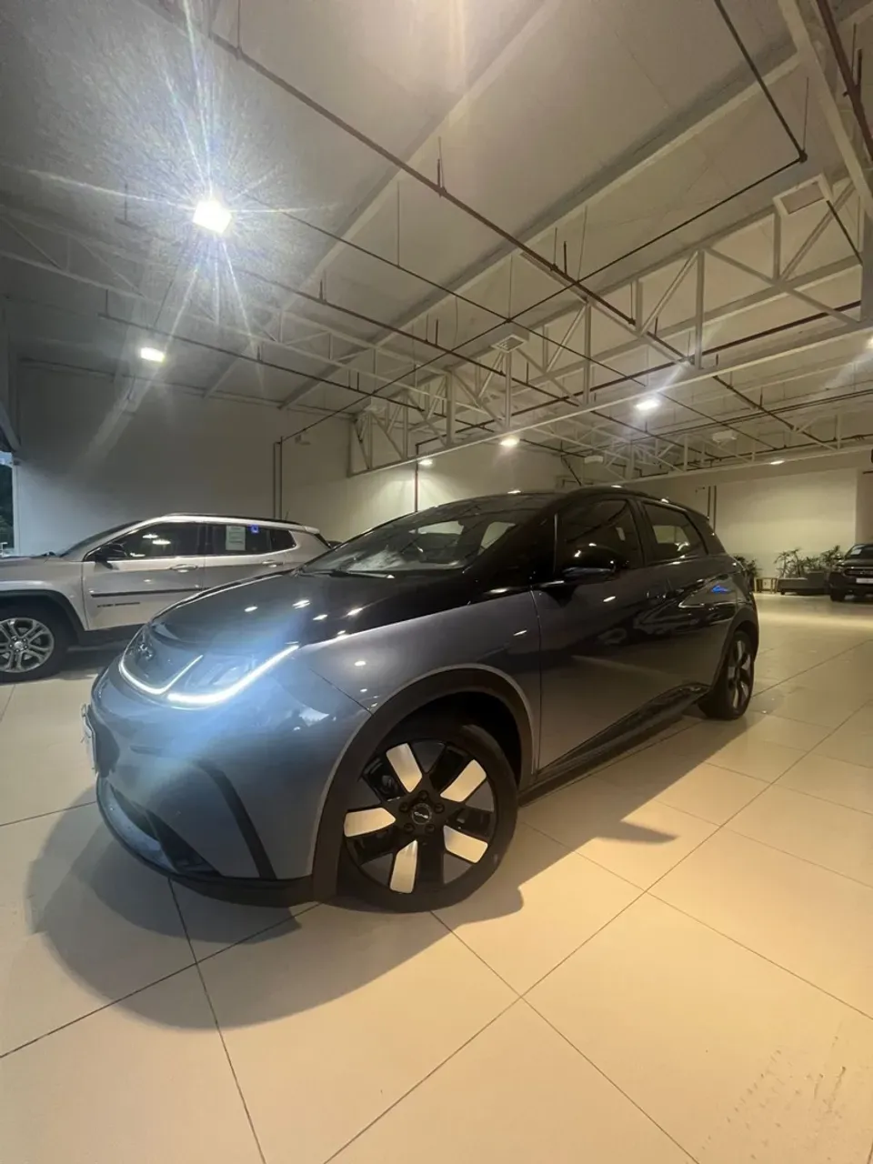 BYD Dolphin