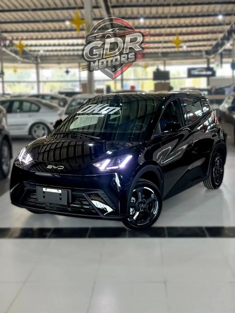 BYD Dolphin Mini
