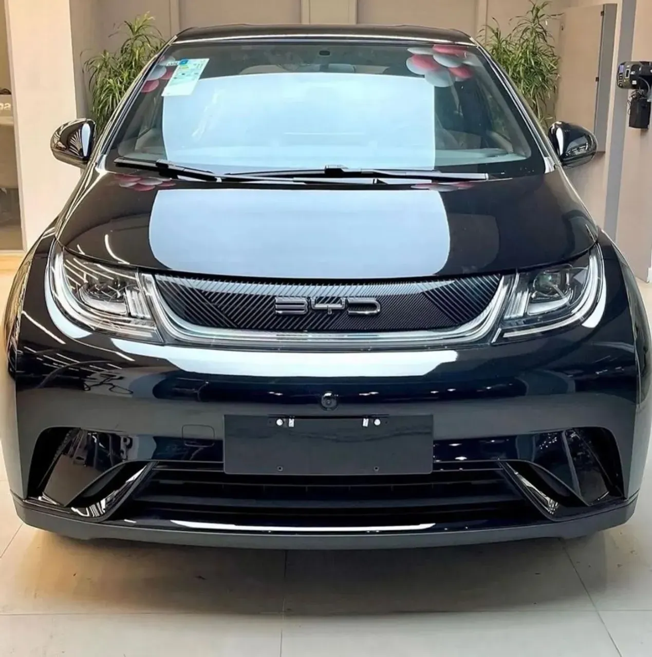 BYD Dolphin
