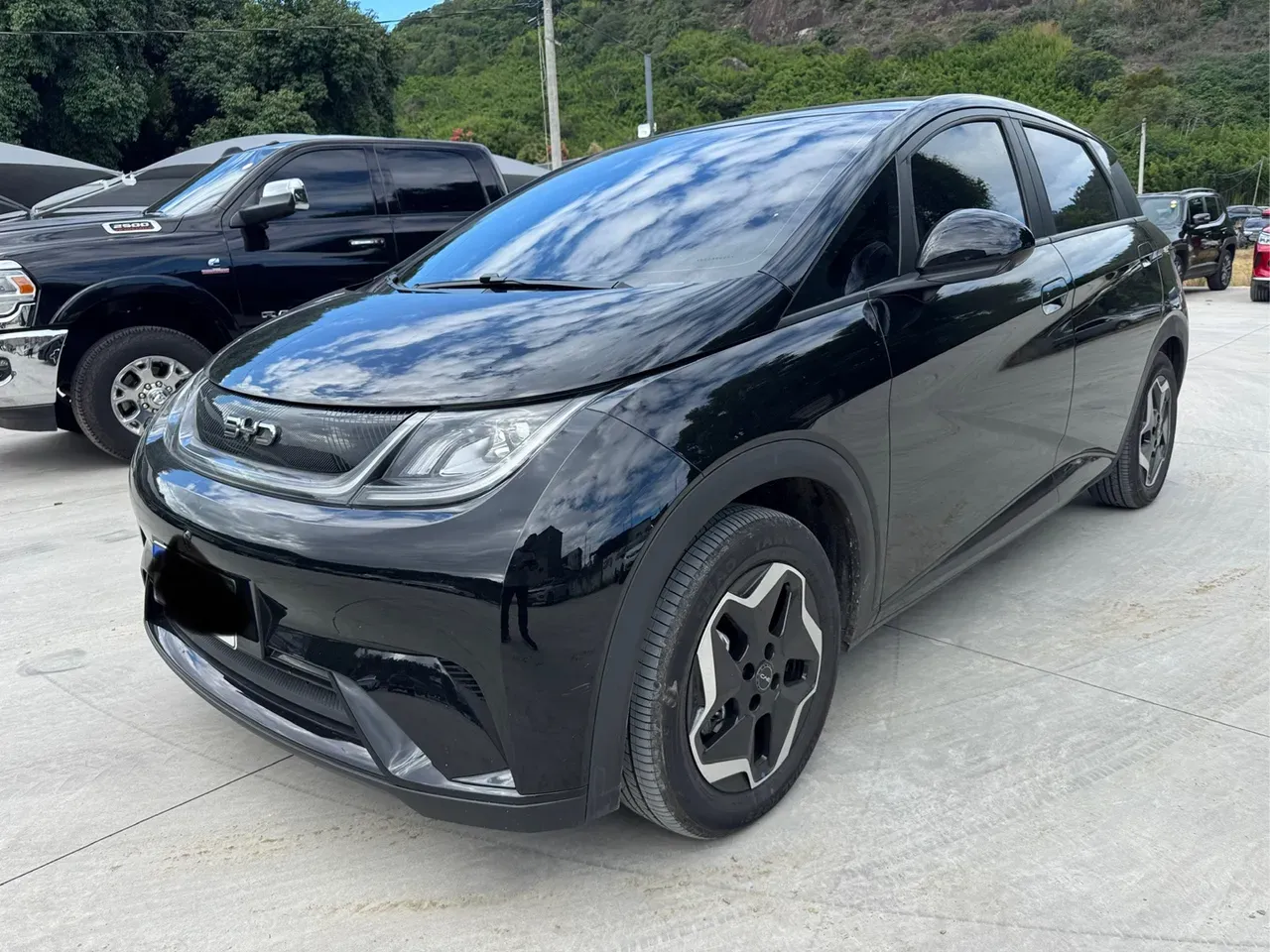 BYD Dolphin