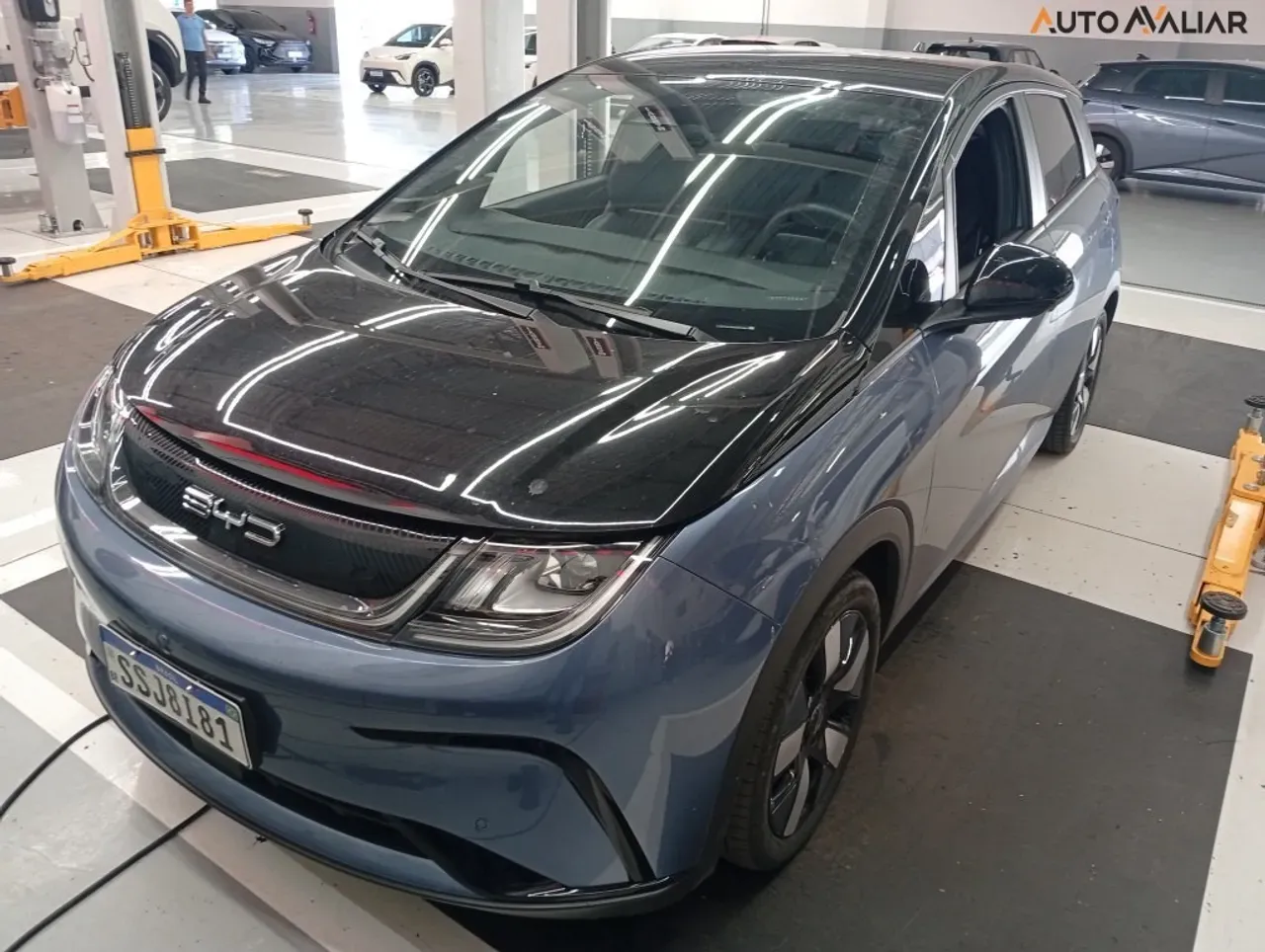 BYD Dolphin Plus