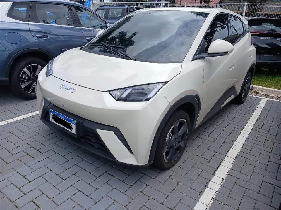 BYD Dolphin Mini