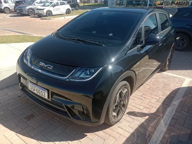 BYD Dolphin