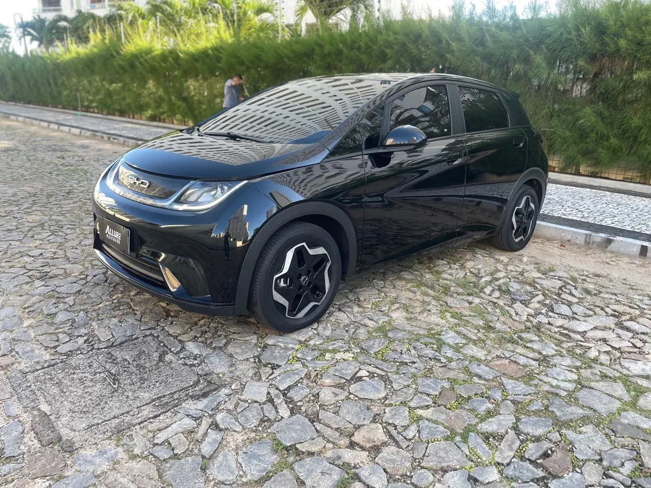 BYD Dolphin