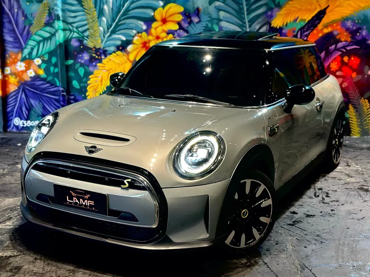 Mini CooperSE