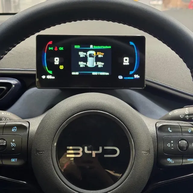BYD Dolphin - Miniatura 2