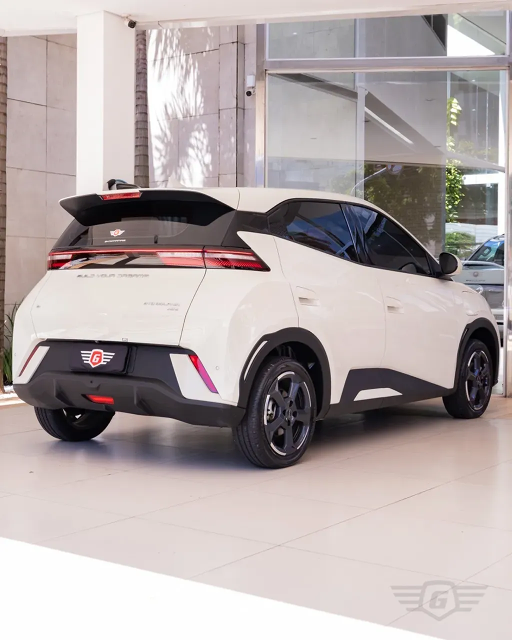 BYD Dolphin Mini - Miniatura 2