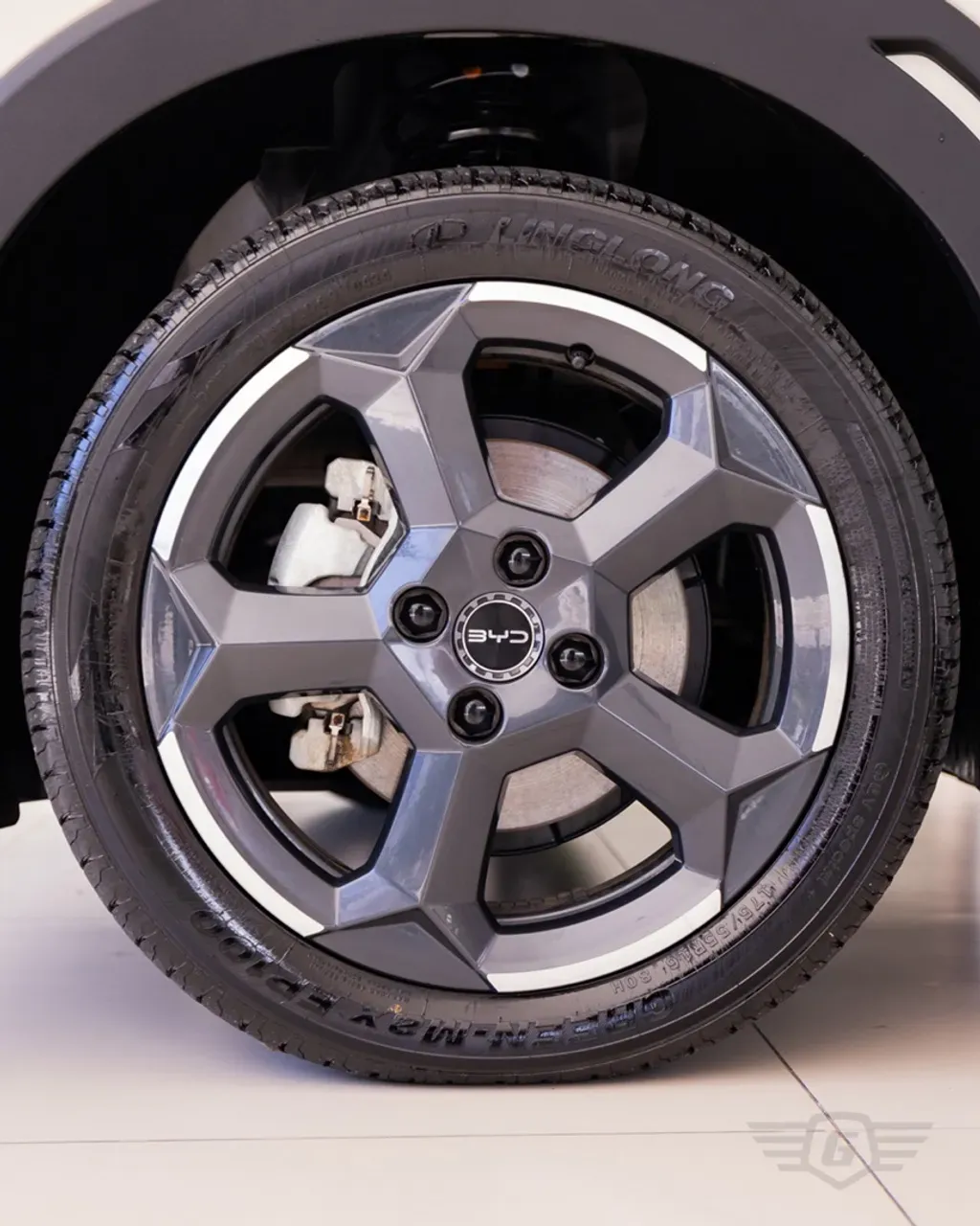 BYD Dolphin Mini - Miniatura 3