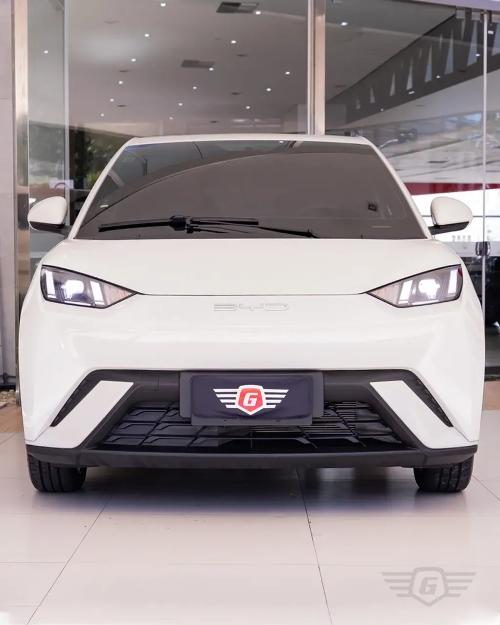 BYD Dolphin Mini - Miniatura 4