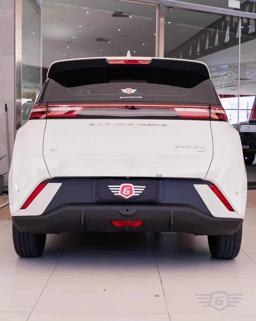 BYD Dolphin Mini - Miniatura 5