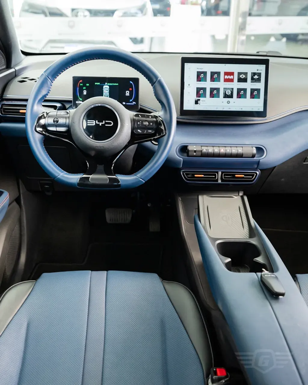 BYD Dolphin Mini - Miniatura 10