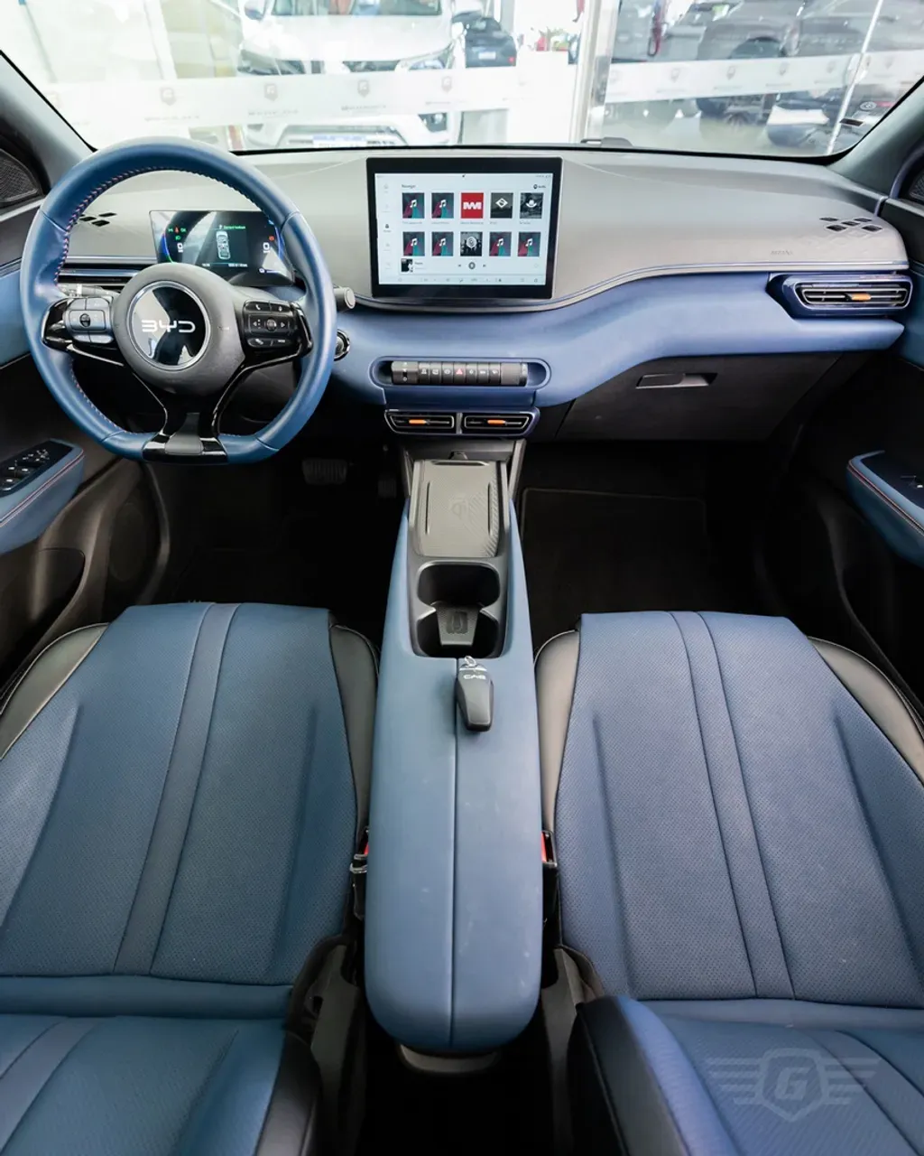 BYD Dolphin Mini - Miniatura 14