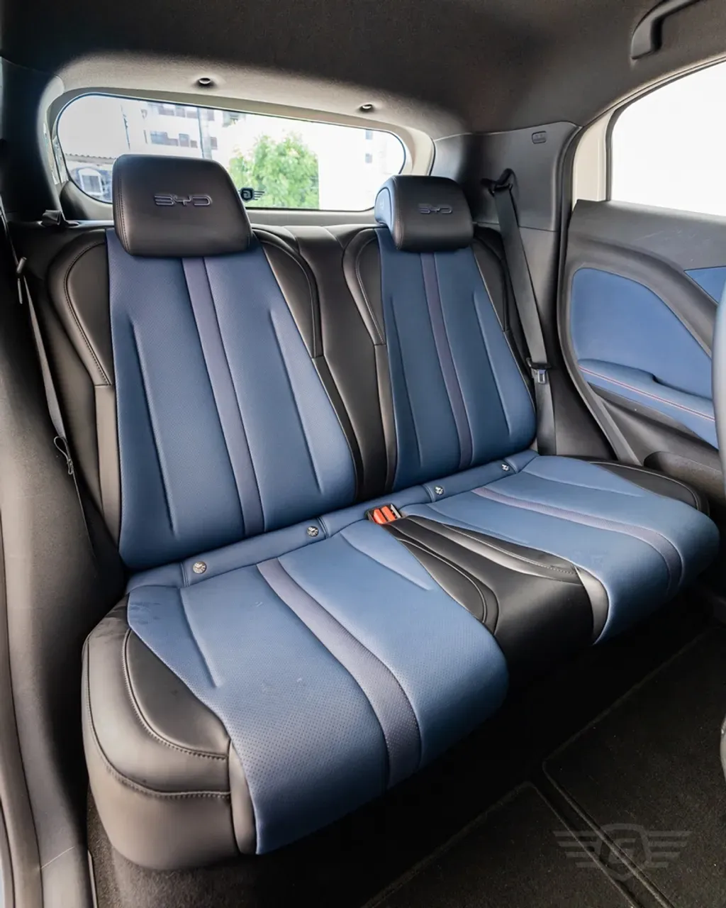 BYD Dolphin Mini - Miniatura 15