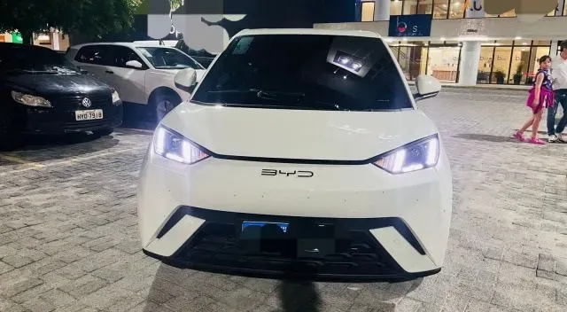 Foto de um byd dolphin mini