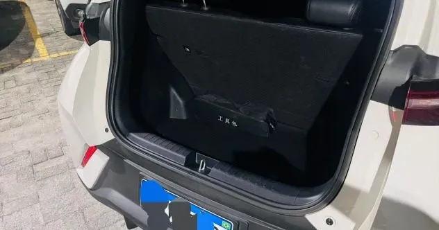 BYD Dolphin Mini - Miniatura 2