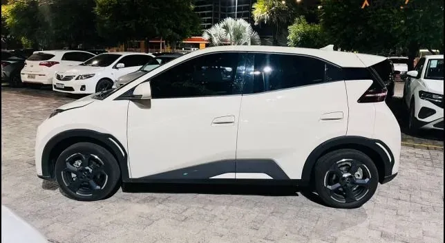 BYD Dolphin Mini - Miniatura 6