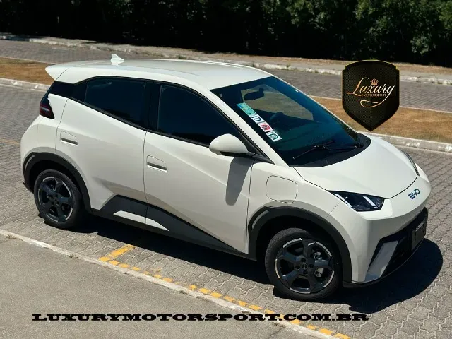 Foto de um byd dolphin mini