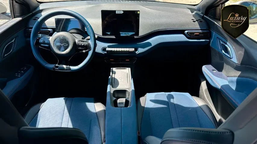 BYD Dolphin Mini - Miniatura 2