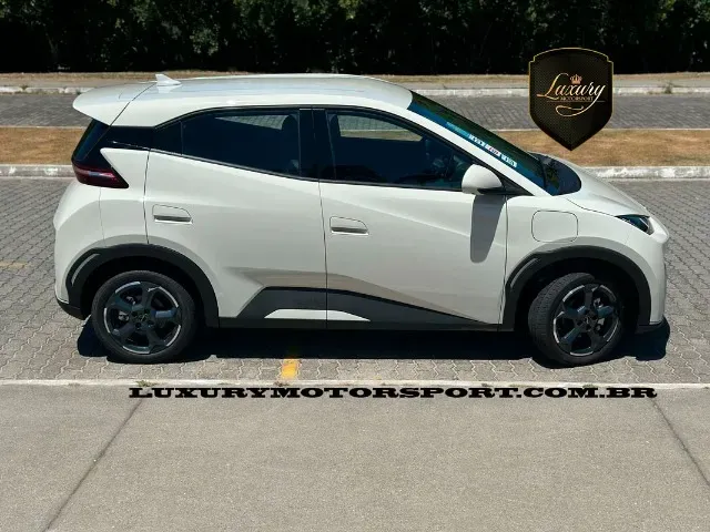 BYD Dolphin Mini - Miniatura 4