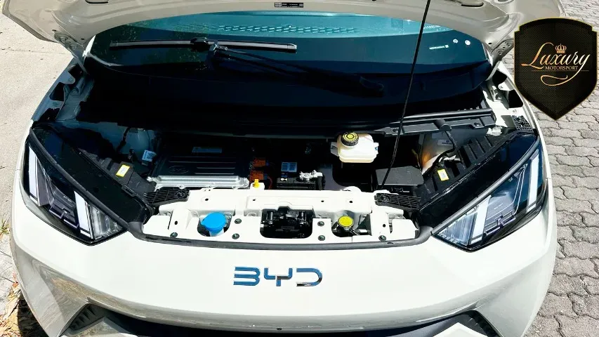 BYD Dolphin Mini - Miniatura 5