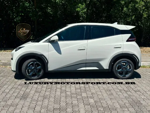 BYD Dolphin Mini - Miniatura 8