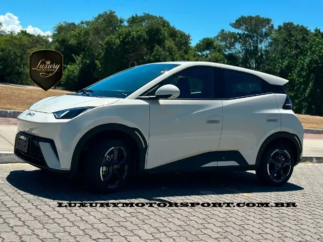 BYD Dolphin Mini - Miniatura 10